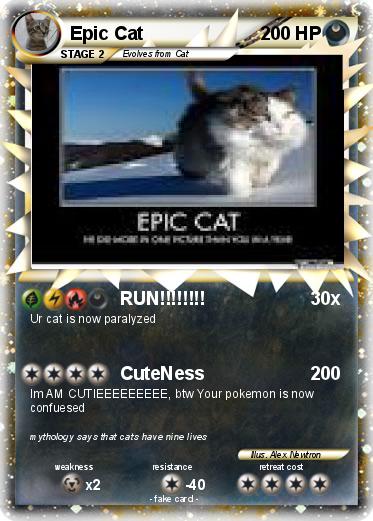 Pokemon Epic Cat
