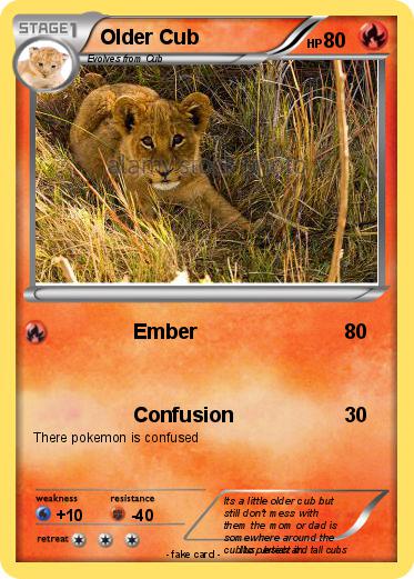 Pokemon Older Cub
