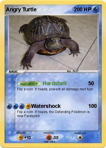 Pokemon Angry Turtle