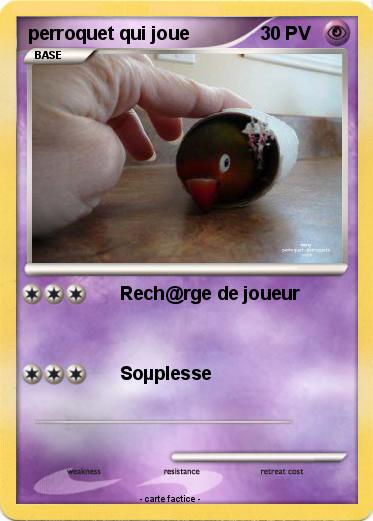 Pokemon perroquet qui joue