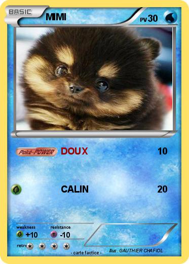 Pokemon MIMI