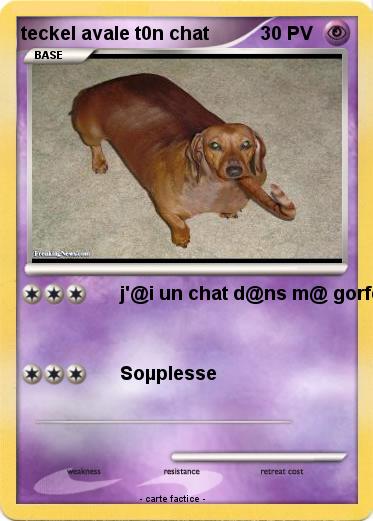 Pokemon teckel avale t0n chat