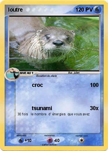 Pokemon loutre
