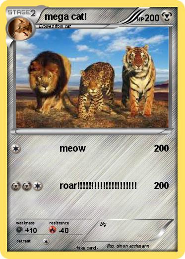 Pokemon mega cat!