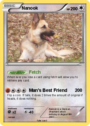 Pokemon Nanook