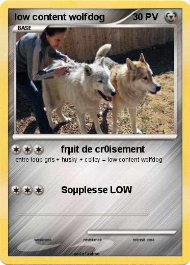 Pokemon low content wolfdog
