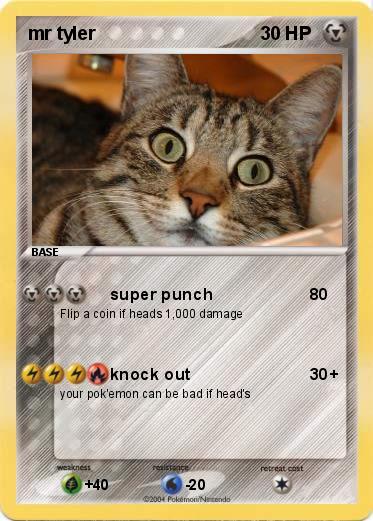 Pokemon mr tyler