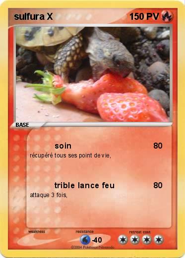 Pokemon sulfura X