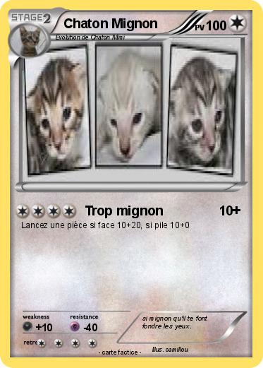Pokemon Chaton Mignon