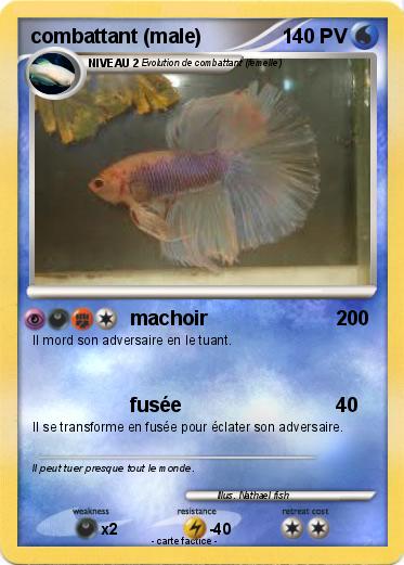 Pokemon combattant (male)