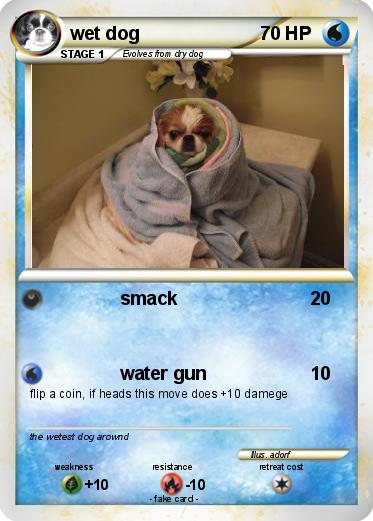 Pokemon wet dog