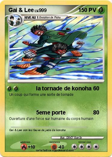 Pokemon Gai & Lee