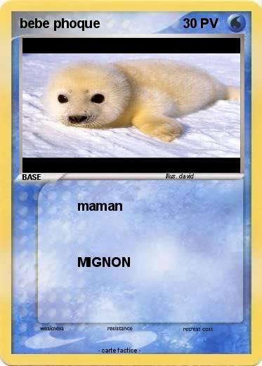 Pokemon bebe phoque