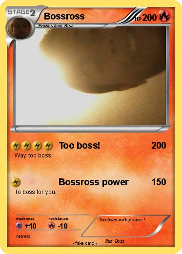 Pokemon Bossross
