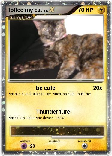 Pokemon toffee my cat