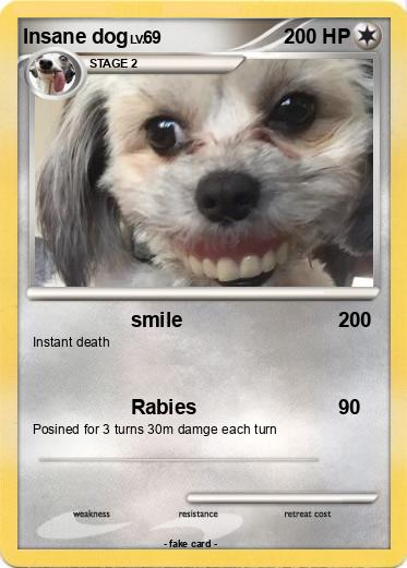 Pokemon Insane dog