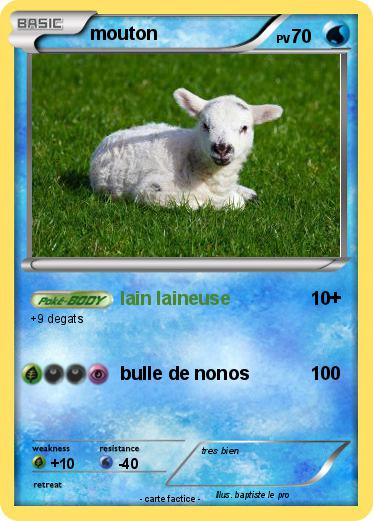 Pokemon mouton