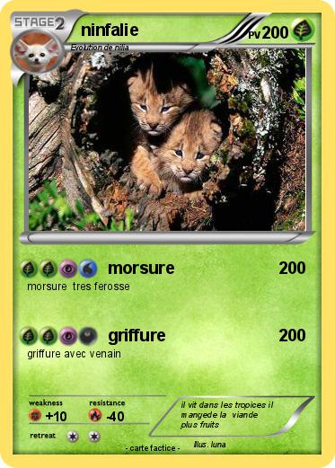 Pokemon ninfalie