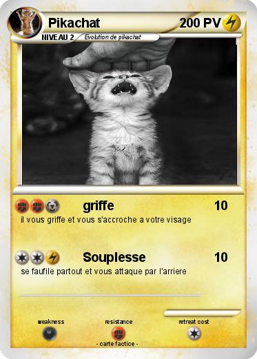 Pokemon Pikachat
