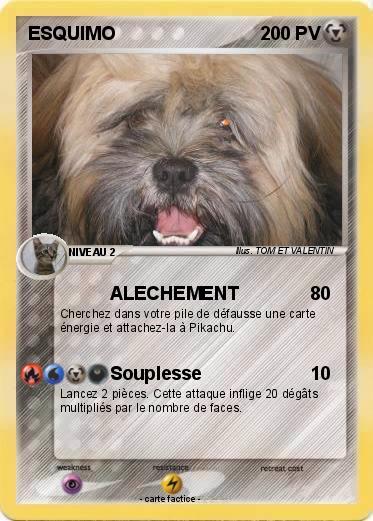 Pokemon ESQUIMO