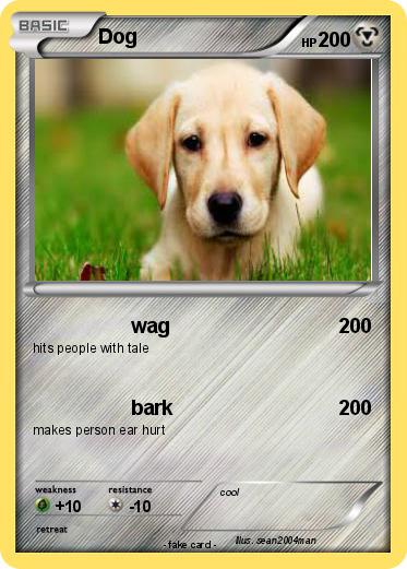 Pokemon Dog