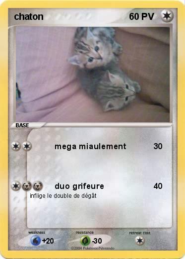 Pokemon chaton 