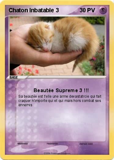 Pokemon Chaton Inbatable 3