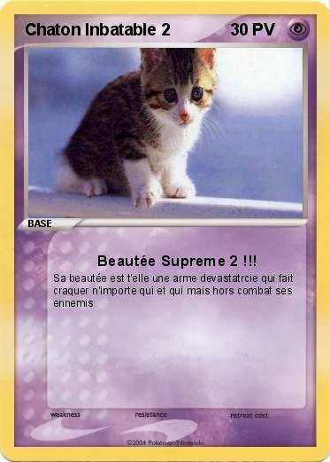 Pokemon Chaton Inbatable 2