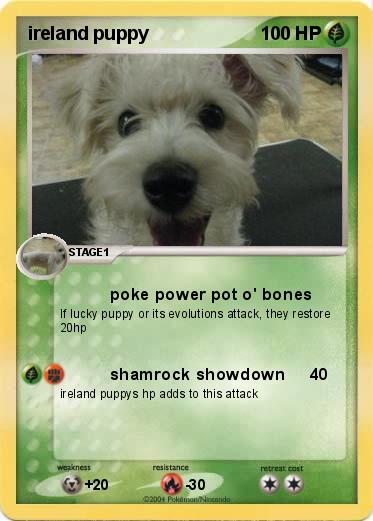 Pokemon ireland puppy