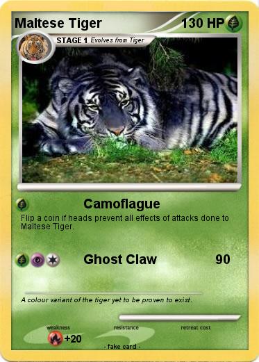 Pokemon Maltese Tiger