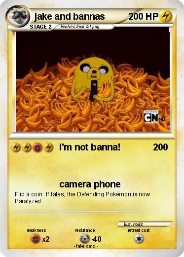 Pokemon jake and bannas
