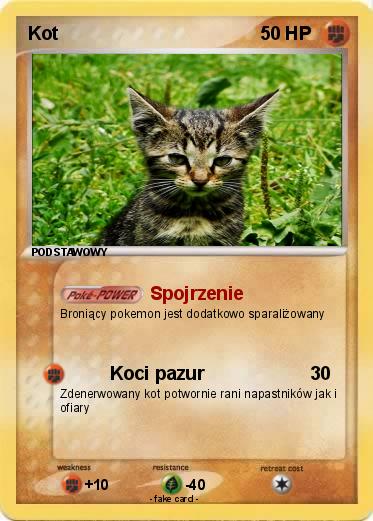 Pokemon Kot