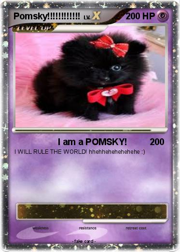 Pokemon Pomsky!!!!!!!!!!!!