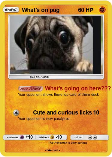 Pokemon What’s on pug