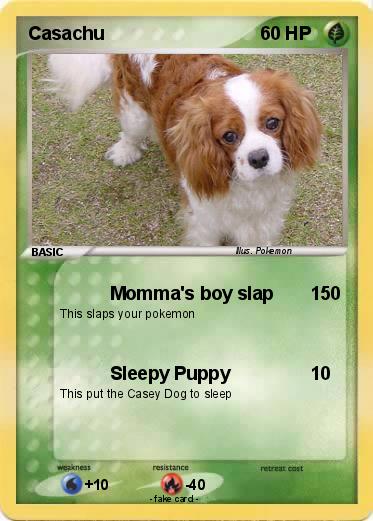 Pokemon Casachu