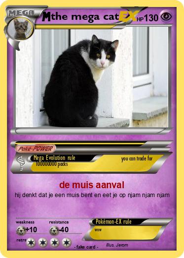 Pokemon the mega cat