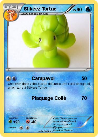Pokemon Stikeez Tortue