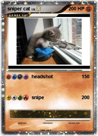 Pokemon sniper cat