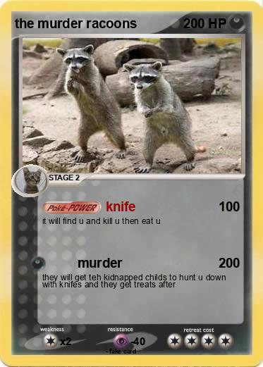 Pokemon the murder racoons
