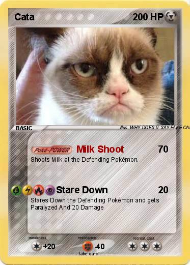 Pokemon Cata