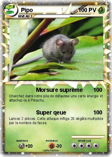 Pokemon Pipo
