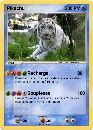 Pokemon Tigro