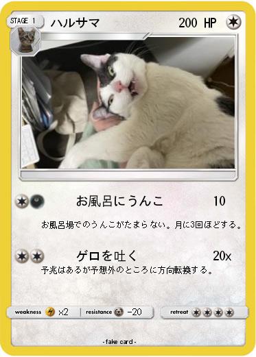 Pokemon ハルサマ