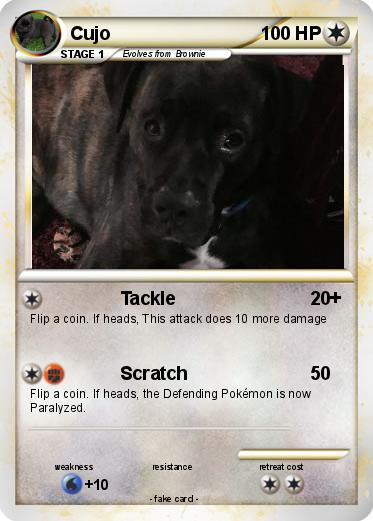 Pokemon Cujo