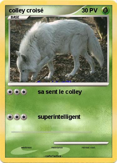 Pokemon colley croisé