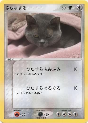 Pokemon ぶちゃまる
