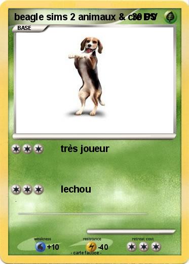 Pokemon beagle sims 2 animaux & cie DS