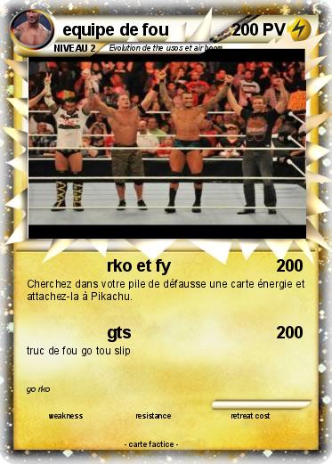 Pokemon equipe de fou
