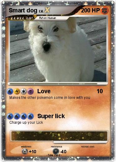 Pokemon Smart dog