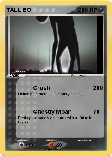 Pokemon TALL BOI